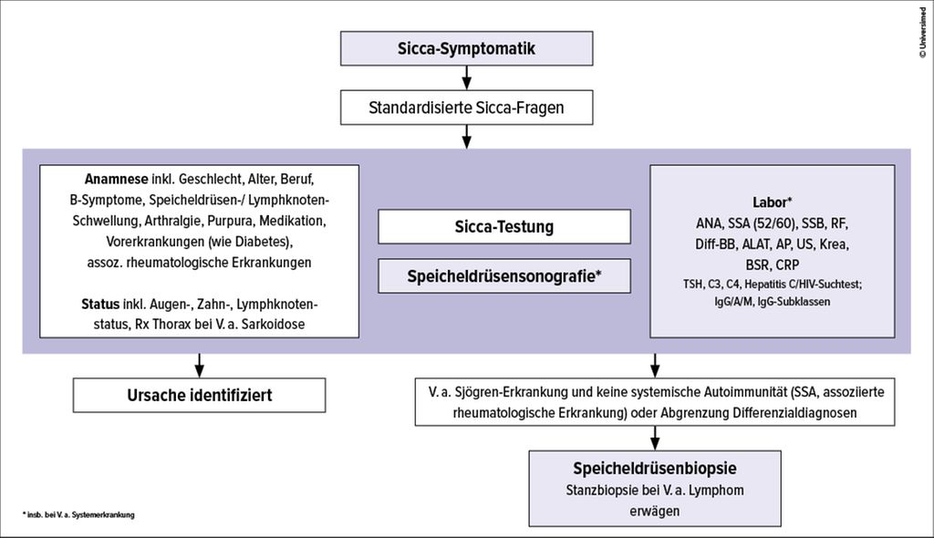 Universimed - Medizin Im Fokus